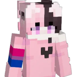 BirdPuller22 Minecraft avatar bust