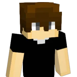Birdie_PvP Minecraft avatar bust