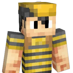 Birdman2203 Minecraft avatar bust