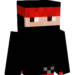 Birdman_25 Minecraft avatar bust