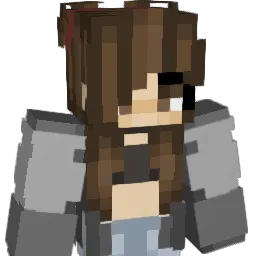Birk312 Minecraft avatar bust