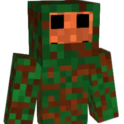 Birkenfunk's Minecraft skin