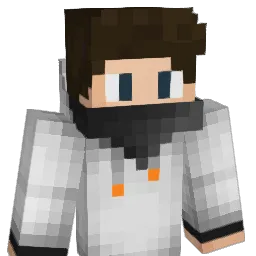 Birky_ Minecraft avatar bust