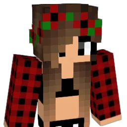Bisi27 Minecraft avatar bust