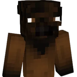 BisonBoomer's Minecraft skin