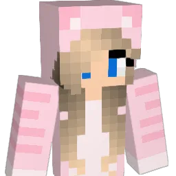 Bisse123 Minecraft avatar bust