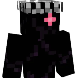 Bit_8R