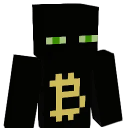 Bitcoin_ Minecraft avatar bust