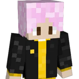 Bitsin Minecraft avatar bust
