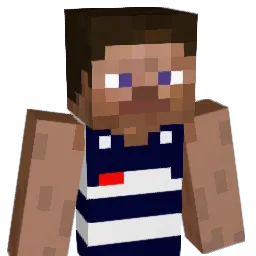 BizR___'s Minecraft skin