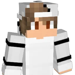 Bizzle_1994 Minecraft avatar bust