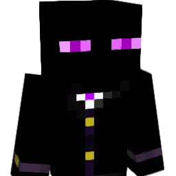 Bl4cksky223 Minecraft avatar bust