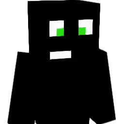 BlackAm_17 Minecraft avatar bust