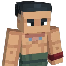 BlackBerry8973 Minecraft avatar bust