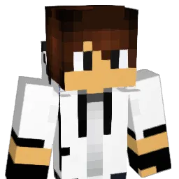 BlackBird669 Minecraft avatar bust