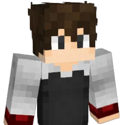 BlackSmilePl Minecraft avatar bust