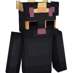 Blacklights8 Minecraft avatar bust