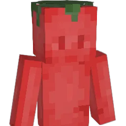BlanchedTomatoes