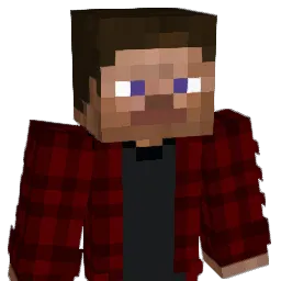 BlankWishingWell Minecraft avatar bust