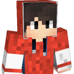 Blitzwolf5 Minecraft avatar bust