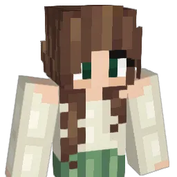 BlockBuilder456 Minecraft avatar bust