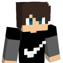 BlockIlhanYTB Minecraft avatar bust
