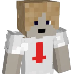 BlocksArkitekt's Minecraft skin