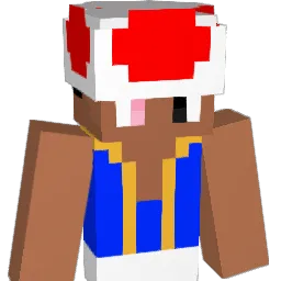 Bloomsom Minecraft avatar bust