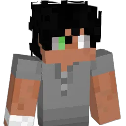 BluRaccooon Minecraft avatar bust
