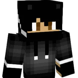 Blumenvase57 Minecraft avatar bust