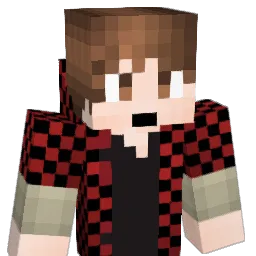 BmwWanta Minecraft avatar bust