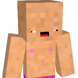 Bng453 Minecraft avatar bust