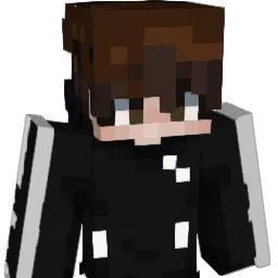 Bnjidi Minecraft avatar bust