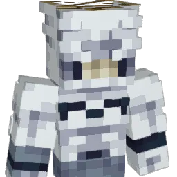Bo66y