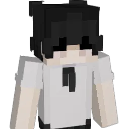 Boat24 Minecraft avatar bust