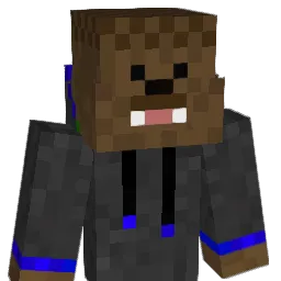 Boeing74788 Minecraft avatar bust