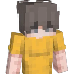 Boimm20 Minecraft avatar bust