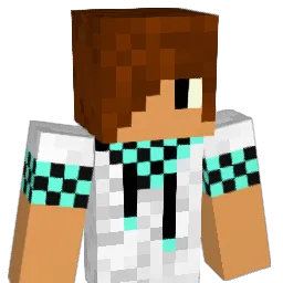 Boka_98 Minecraft avatar bust