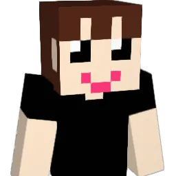 Bokja1005 Minecraft avatar bust