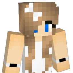 Bomber8181 Minecraft avatar bust