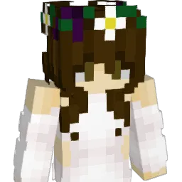 Bonita711 Minecraft avatar bust