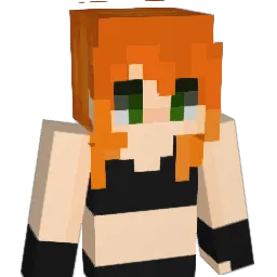 BonkProvider
