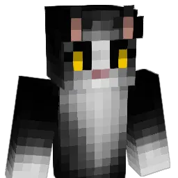 Boochae_ Minecraft avatar bust