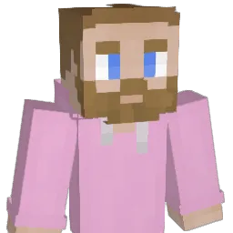 Book's Minecraft skin