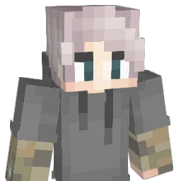 BookWood18 Minecraft avatar bust