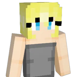 Bookets Minecraft avatar bust