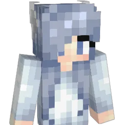 Bop2k Minecraft avatar bust