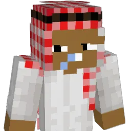 BorgiBuilds Minecraft avatar bust