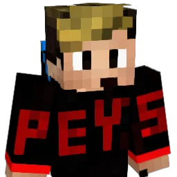 Borryk Minecraft avatar bust