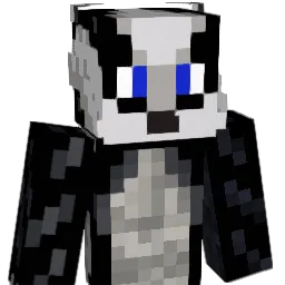 Borsuk17 Minecraft avatar bust